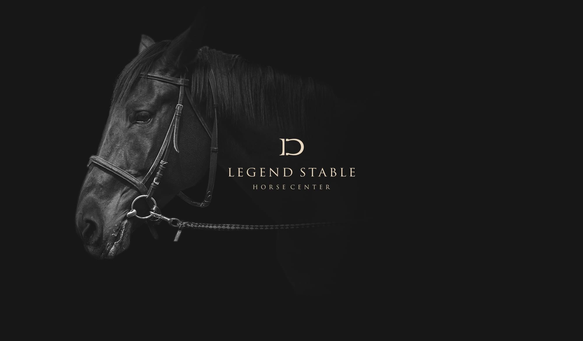 legend stable horse center